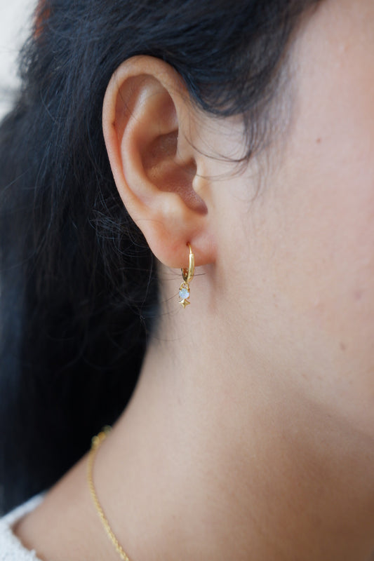 Aurielle Hoop Earrings