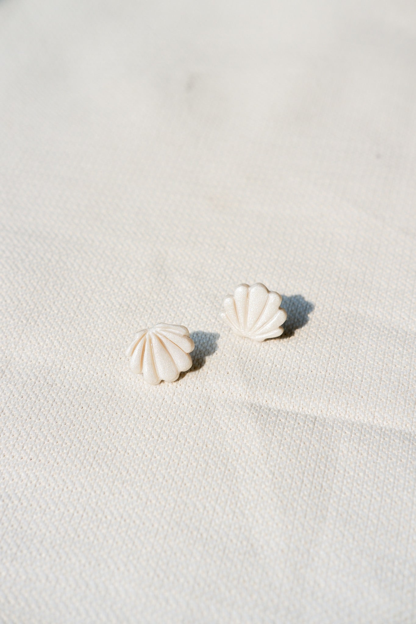 Two seashells on a sandy surface