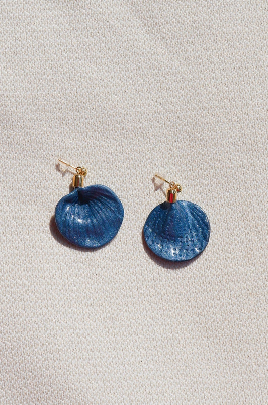 Blue Shell Earrings
