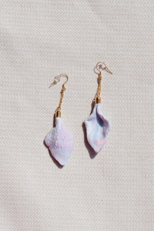 Pair of shell-shaped earrings on a light gray background